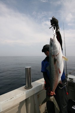 オーシャンズ 釣果