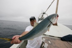 オーシャンズ 釣果