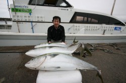 オーシャンズ 釣果