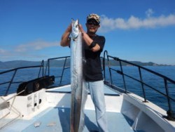 なぎさ丸 釣果