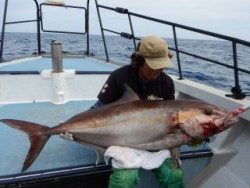 なぎさ丸 釣果