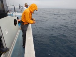 なぎさ丸 釣果