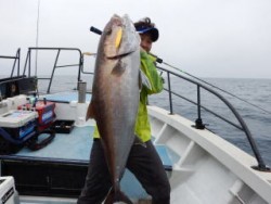 なぎさ丸 釣果