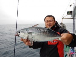 なぎさ丸 釣果