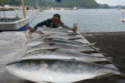 ハピネスⅡ 釣果