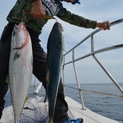 ハピネスⅡ 釣果