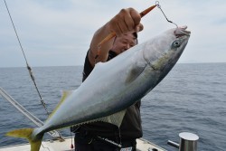 ハピネスⅡ 釣果