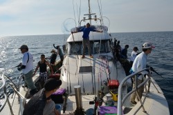 ハピネスⅡ 釣果