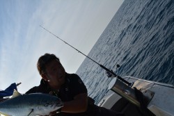 ハピネスⅡ 釣果