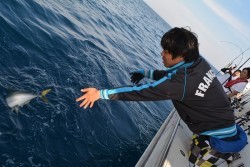 ハピネスⅡ 釣果