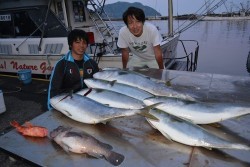 ハピネスⅡ 釣果