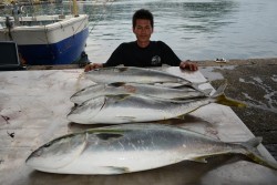 ハピネスⅡ 釣果