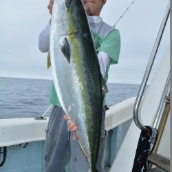 ハピネスⅡ 釣果