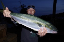 ハピネスⅡ 釣果