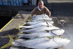 ハピネスⅡ 釣果