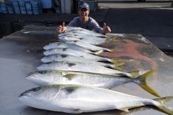 ハピネスⅡ 釣果