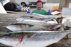 ハピネスⅡ 釣果