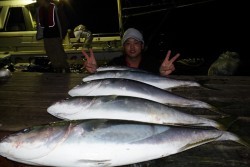 ハピネスⅡ 釣果