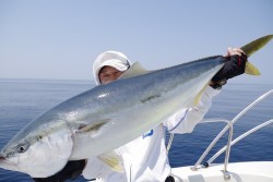 ハピネスⅡ 釣果