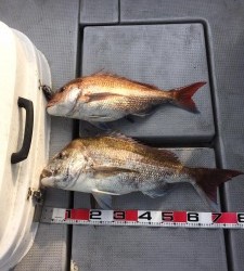 LUZ PLAYA ルスプラージャ 釣果