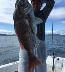 LUZ PLAYA　ルスプラージャ 釣果