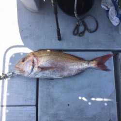 LUZ PLAYA　ルスプラージャ 釣果