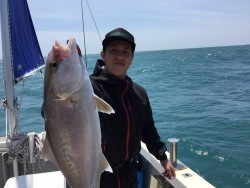 オーシャンキッズ 釣果