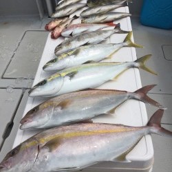 オーシャンキッズ 釣果