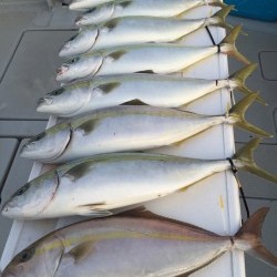 オーシャンキッズ 釣果