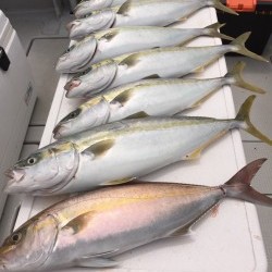 オーシャンキッズ 釣果