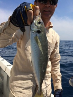 オーシャンキッズ 釣果