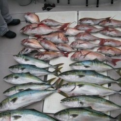 Aquanaut(アクアノート) 釣果