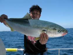 Aquanaut（アクアノート） 釣果