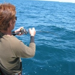 Aquanaut（アクアノート） 釣果