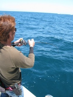 Aquanaut（アクアノート） 釣果