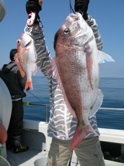 Aquanaut（アクアノート） 釣果