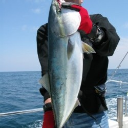 Aquanaut（アクアノート） 釣果