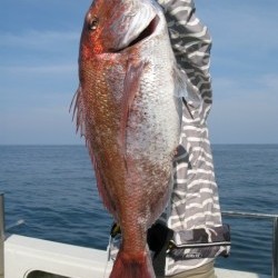 Aquanaut（アクアノート） 釣果