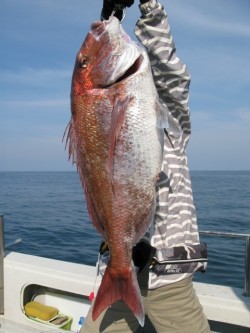 Aquanaut（アクアノート） 釣果