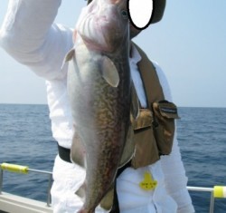 Aquanaut（アクアノート） 釣果