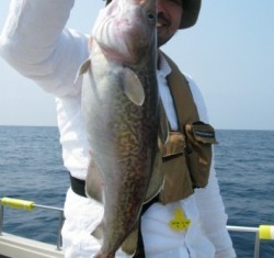 Aquanaut（アクアノート） 釣果