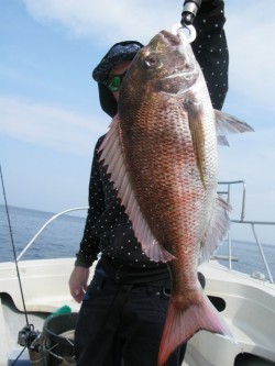 Aquanaut（アクアノート） 釣果