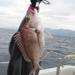 Aquanaut（アクアノート） 釣果