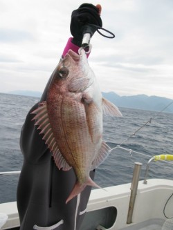 Aquanaut（アクアノート） 釣果