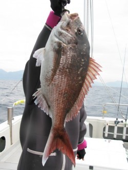 Aquanaut（アクアノート） 釣果