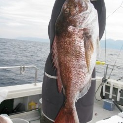 Aquanaut（アクアノート） 釣果