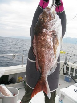 Aquanaut（アクアノート） 釣果