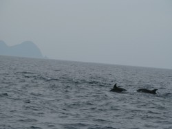 Aquanaut（アクアノート） 釣果