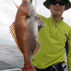 Aquanaut（アクアノート） 釣果