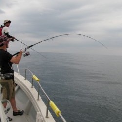 Aquanaut（アクアノート） 釣果